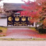 醍醐寺三宝院