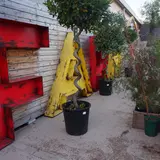 FARMER’SKITCHEN