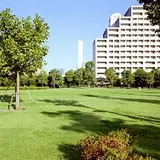 お台場レインボー公園