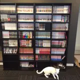 猫カフェ 猫の王様 川口店