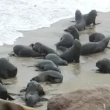 ケープ・クロス