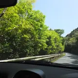 伊勢道路