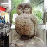 いけふくろう