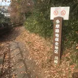 多摩自然遊歩道