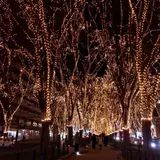 SENDAI 光のページェント