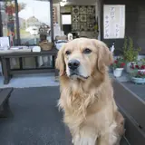 風の道