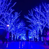 渋谷公園通り