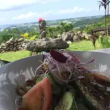 亜熱帯茶屋