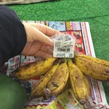ゆいゆい国頭