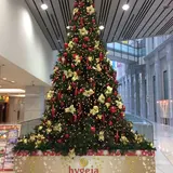 （株）ハイジア