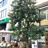 麻布台日ノ樹ビル