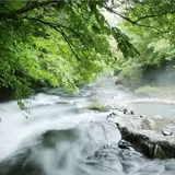 旅館藤もと