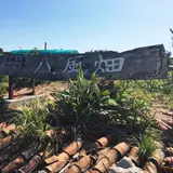 黒糖工房・青空喫茶 八風畑