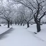 青森市役所市民生活部月見野霊園管理事務所