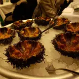 Cavallini
