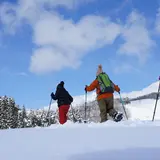 TERRA子屋アドベンチャー