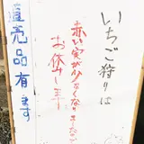 安田いちご園