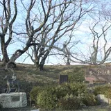 黄金堤
