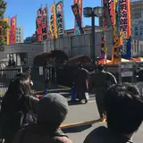 相撲博物館