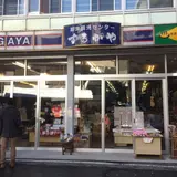 旅館 するがや