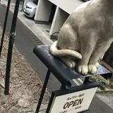 猫町ギャラリー