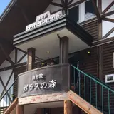 由布院オルゴールの森