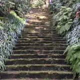 妙本寺