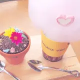 바나나트리