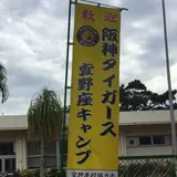 宜野座村球場