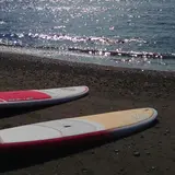 Sunny Funny Days