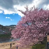 河津川
