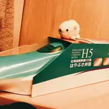 ベントー カフェ ヨンイチ ガーデン