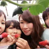 ホヤノいちご園