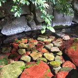 熱田神宮水源