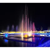 国営越後丘陵公園【雪割草】