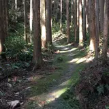 曼荼羅のみち 〔熊野古道〕