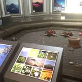 八丈ビジターセンター