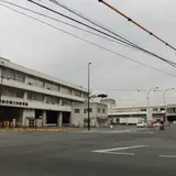 長浜鮮魚市場