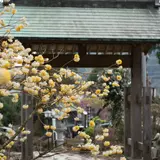 長興山紹太寺