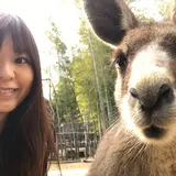 ＳａｙｕｒｉＷｏｒｌｄ