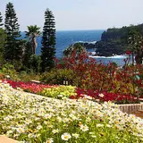伊豆四季の花公園