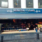 MONCEAU FLEURS
