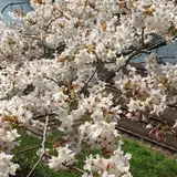 外濠公園