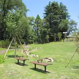 おとめ山公園
