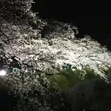 山崎川
