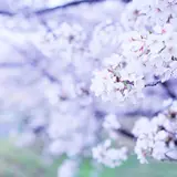 天白川