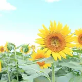 那珂総合公園