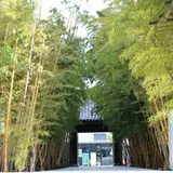 梅窓院
