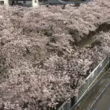 神田川