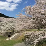 定光寺公園